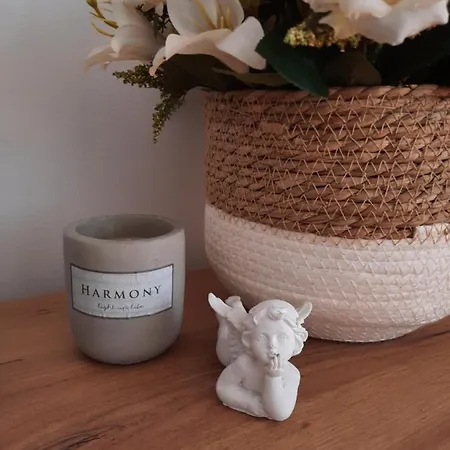 Stan Na Dan Dunja 1 Apartmán Vrsac