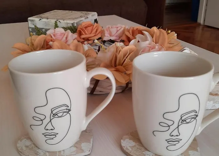 Stan Na Dan Dunja 1 Апартаменты Вршац