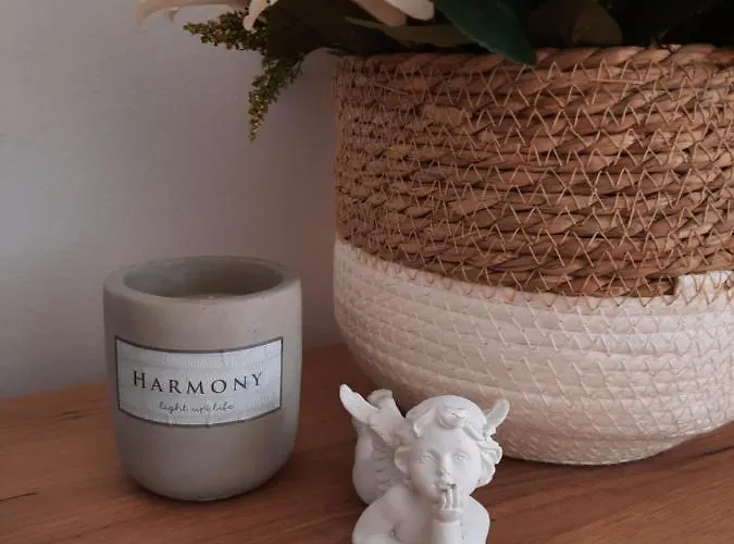 Stan Na Dan Dunja 1 Апартаменты Вршац