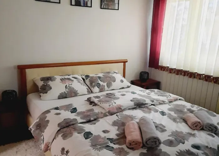 Stan Na Dan Dunja 1 Апартаменты Вршац