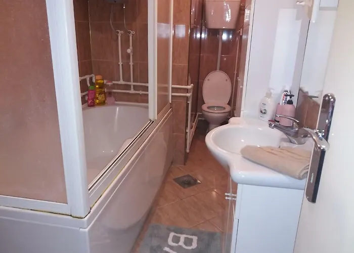 Апартаменты Stan Na Dan Dunja 1 Вршац